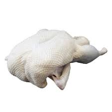 Medium Duck