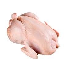 Old Hen