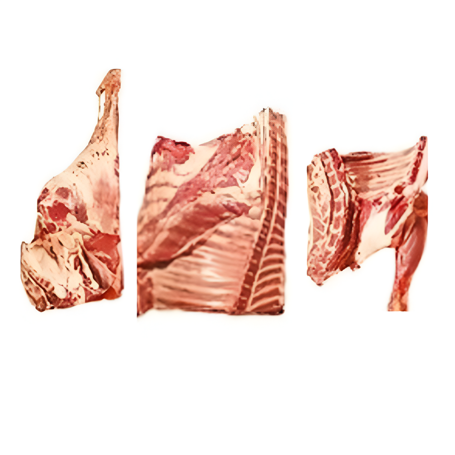 Premium 6-Way Cut Whole Goat - Skin Off